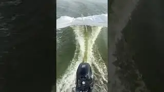 28 августа 2024 г.