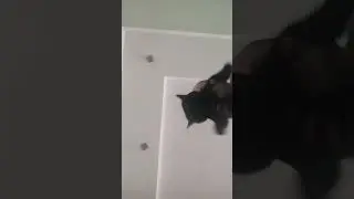 сделали тренд