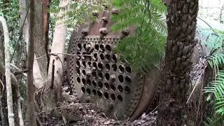 Faulconbridge Sawmill Story