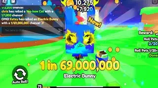 Rolling for INSANE PETS in PETS GO!