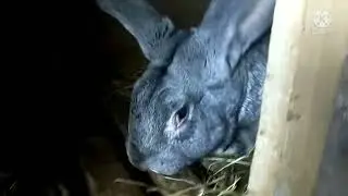 Немного нашей жизни. Был снег и нет снега.