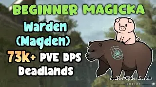 ESO Beginner Magicka Warden (Magden) 73k+ PVE DPS Build Deadlands
