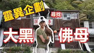 【帶老鷹去爬山EP.10】｜靈異企劃｜勇闖台灣恐怖片