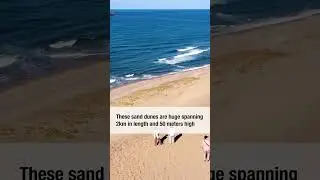 Tottori: Sand Dunes and Camels in Japan?!