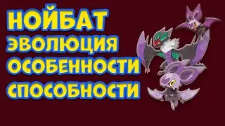 ПОКЕМОН НОЙБАТ. ЭВОЛЮЦИЯ, ОСОБЕННОСТИ, СПОСОБНОСТИ