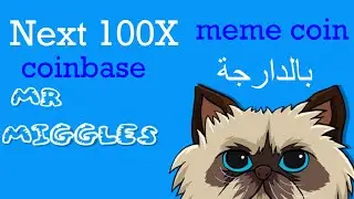 meme coin Mister Miggles بالدارجة Next 100X coinbase المغرب Bitcoin Bdarija البيتكوين بالدارجة