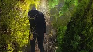 I've Been Afraid (2020)