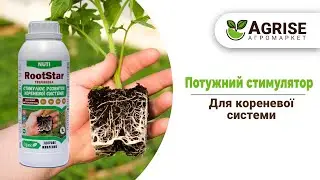 РутСтар / Потужний стимулятор для коріння та рослини