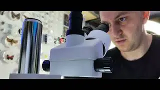 КАКИЕ МИКРОСКОПЫ Я ИСПОЛЬЗУЮ ДЛЯ СОЗДАНИЯ ВИДЕО