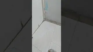 practice camera mapping projection ● blender 2.79b