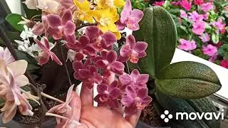 Летнее настроение! 🥰🥰🥰