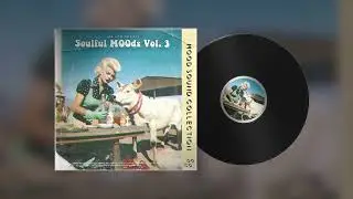 Vintage Soul Samples - Soulful Moods Vol 3
