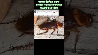 2024 cockroach and 5000bce cockroach || Past animals ||#shorts #Trend #trend #new #evolution #today