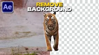 Remove BACKGROUND From Video in AFTER EFFECTS