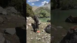 A glimpse of a classic trail of the Fann mountains
