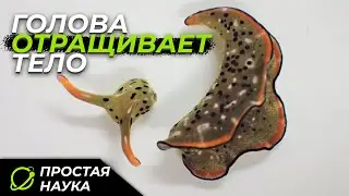 ТОП научных открытий и событий 2021 года