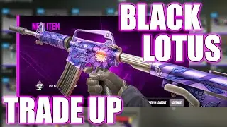 BLACK LOTUS TRADE UP - EASY KILOWATT COLLECTION PROFITABLE TRADE UP #CS2