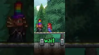 Terraria Guess The Meme