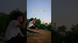 Birds of a Feather(Dovi Mok & Carlos Remix) #birdsofafeather #birdsofafeatherremix  #billieeilish