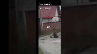 Ну я лучше катаюсь на велике🤣#shortsvideo