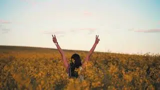 Dust We Are and Shall Return - The Brilliance (Music Video)