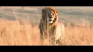 Красивый нашид про Львов
