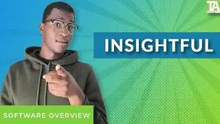 Insightful - Top Features, Pros & Cons, and Alternatives