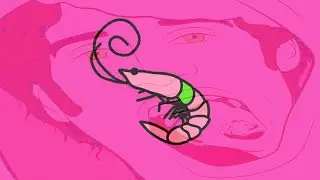 bring her flamingos