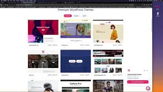 Visual Design for Multimedia - Wordpress contact forms & custom CSS