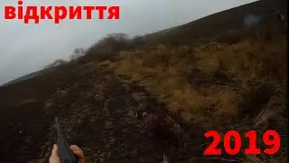Відкриття полювання на зайця 2019