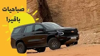 صباحيات باقيرا ( الدب نت )