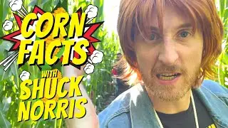 CORN FACTS with SHUCK NORRIS
