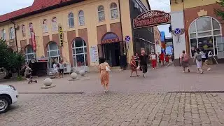 Ейск. Центральный рынок. Как определить  натуральный  ли свежий мед 🍯