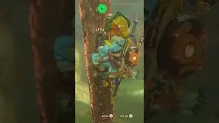 Falling With Style in Breath of the Wild