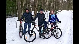 Всеволожск-Ржевский лесопарк