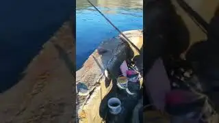 Морская рыбалка/осень 2020