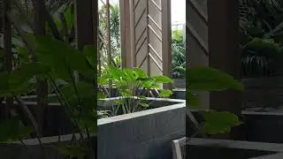 Exposing my LAZY secret for AMAZING iPhone camera footage 🤯 (92.5% success rate)