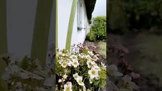 Part 1 Spring in Denmark 🇩🇰 😍 #homedecor #home #interiordesign #diy