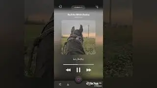 Нашид