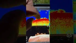 HOEVEEL KARPERS LIGGEN HIER?!🖥️ #carpfishing #karper #raymarine