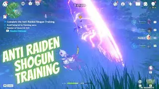 Anti Raiden Shogun Training (Phase 1)