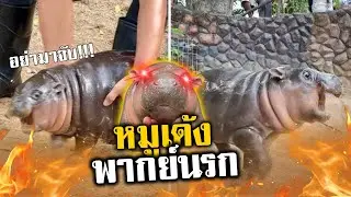 เด้งแดน 2 (พากย์นรก)