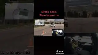 Skoda Scala Geyik Testi