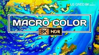 8K HDR Video 60fps - Macro Color in 8K HDR || LG QNED Mini LED 8K