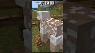 minecraft But Shearing sheep Give Op Items ! #short #minecraft