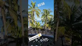 🏝🌴улетели в отпуск🏝🌴                          #карибскоеморе #лето2024 #доминиканскаяреспублика