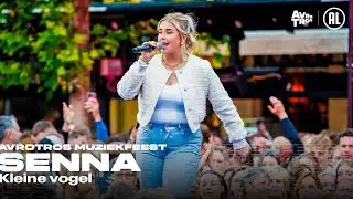 Senna - Kleine vogel (LIVE) • Muziekfeest op het Plein 2024