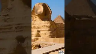 REQUESTED PbS Kids Dot logo in For Drums 2