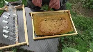 ВЫВОД МАТОК(часть 2)