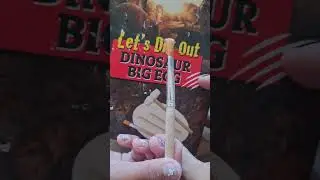 Dinazor yumurtası kırıyoruz | Dinosaur Big Egg